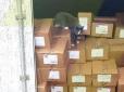 Мурка виявила справжній одеський характер: Киця-мандрівниця три тижні пливла в контейнері до Ізраїлю, змушено харчуючись цукерками (фотофакти)