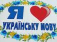 Прискіпливо дивимось на взуття та русизми: Мовознавець розповів, якими термінами краще замінити розмовні 